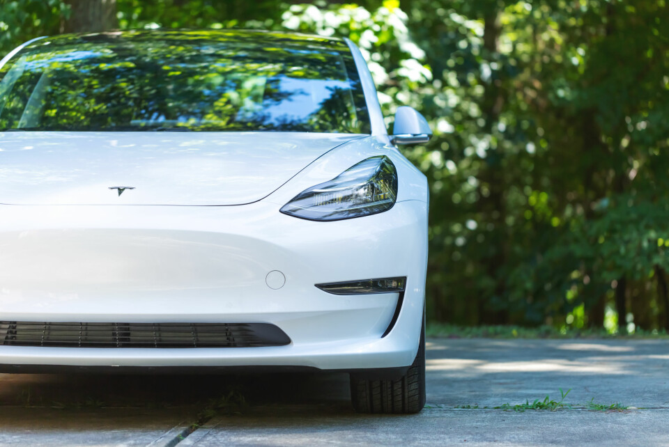 A Tesla Model 3 vehicle with greenery in the background
