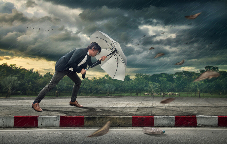 chaiyapruek youprasert / Shutterstock