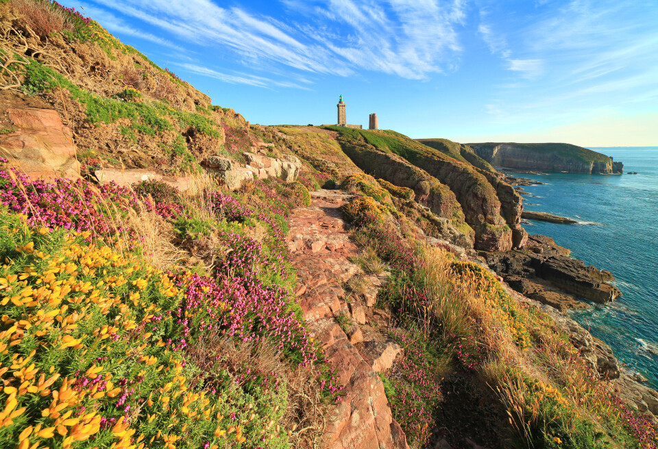 A photo of Cap Fréhel with the coastline clearly visible and the lighthouse in the background