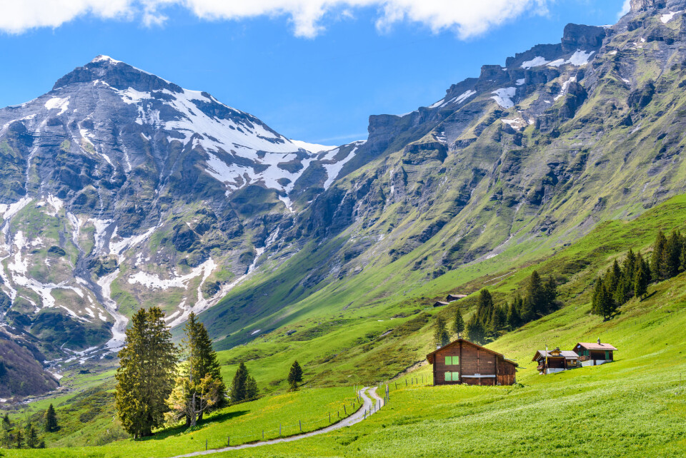 A view of the Swiss Alps at Murren, Switzerland