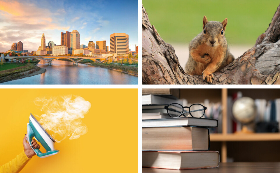 A four part image showing Ohio, a squirrel, an iron, and literature books