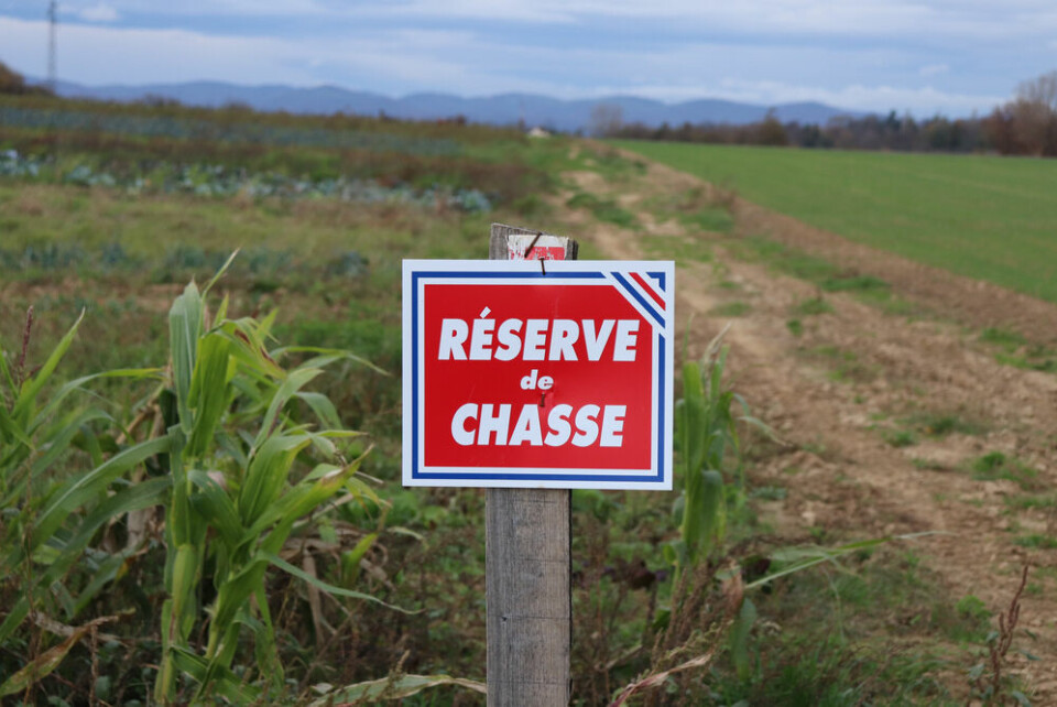 Sign 'hunting reserve' on a background of greenery, town of Corbas, Rhône department, France. Hunting: Thousands march in France to defend ‘rural way of life’