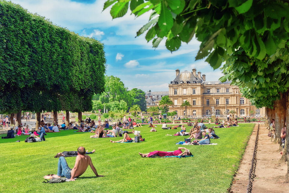Parisians and tourists have a rest on the lawn near the Luxembourg Palace. Paris. France