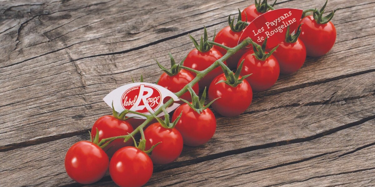 French tomatoes become latest food to receive top quality label