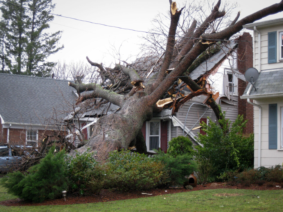 A photo of a tree that has fallen onto a house due to a storm
