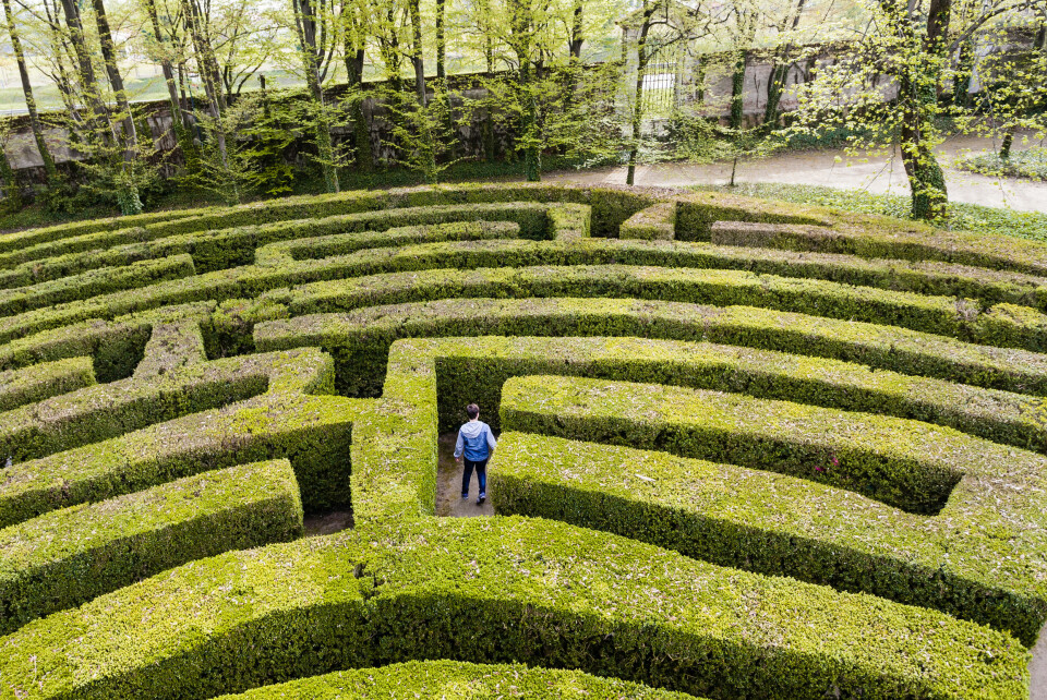 A man trying to figure his way out of a maze