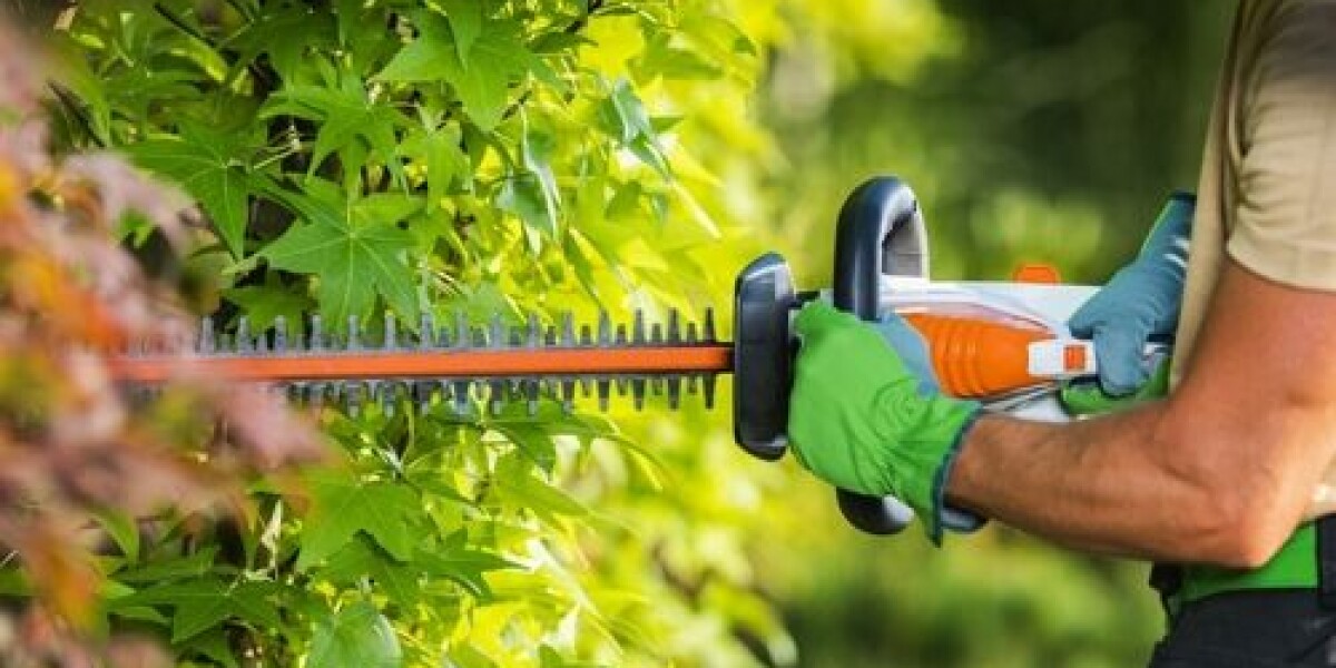Plea for french residents not to cut hedges in spring to help wildlife