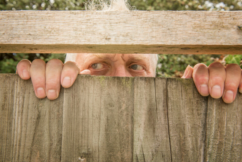 A man peering through a neighbouring fence