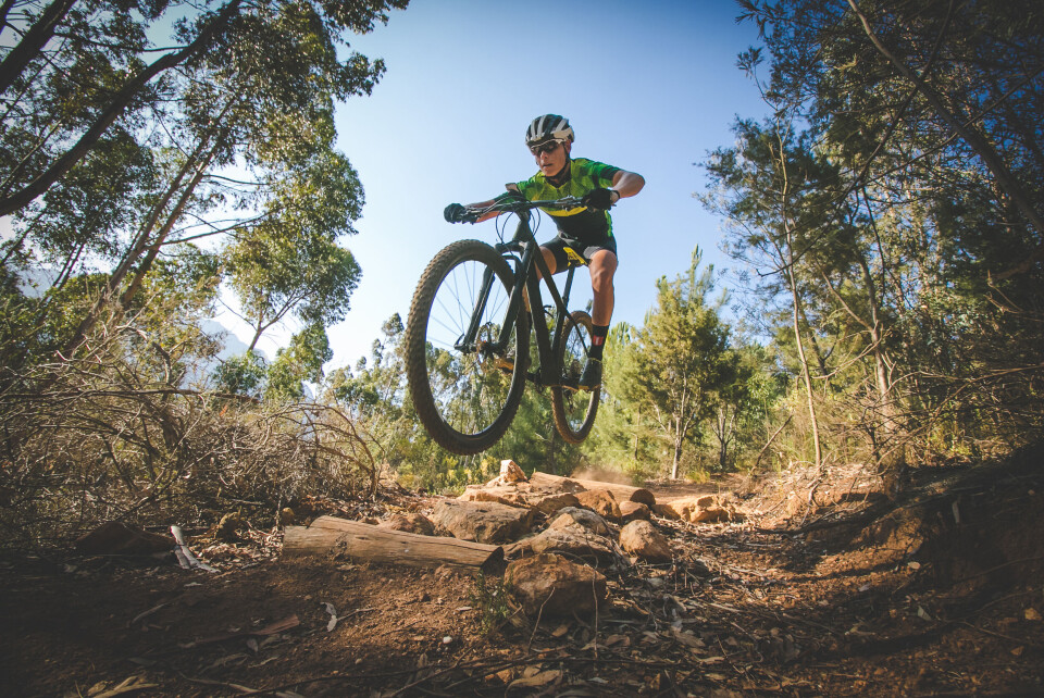 Dewald Kirsten / Shutterstock
