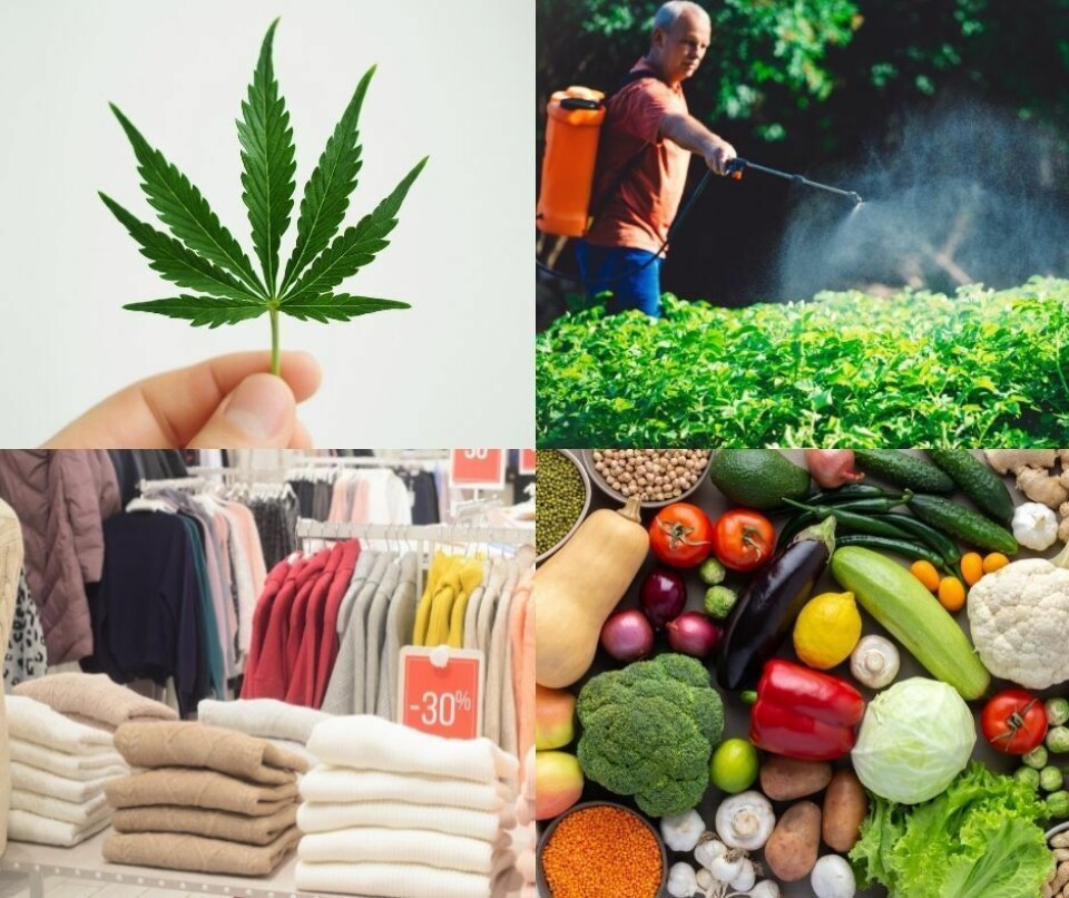 Cannabis_Pic / Valentin Valkov / Andre_dechapelle / pundapanda / Shutterstock