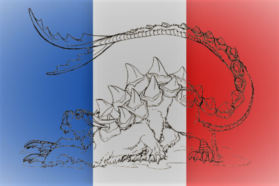 BlueLotusArt / Shutterstock