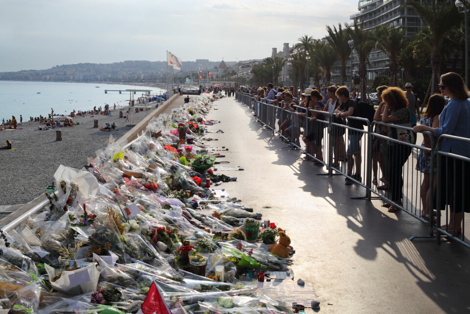 Flowers on Promenade des Anglais, Nice