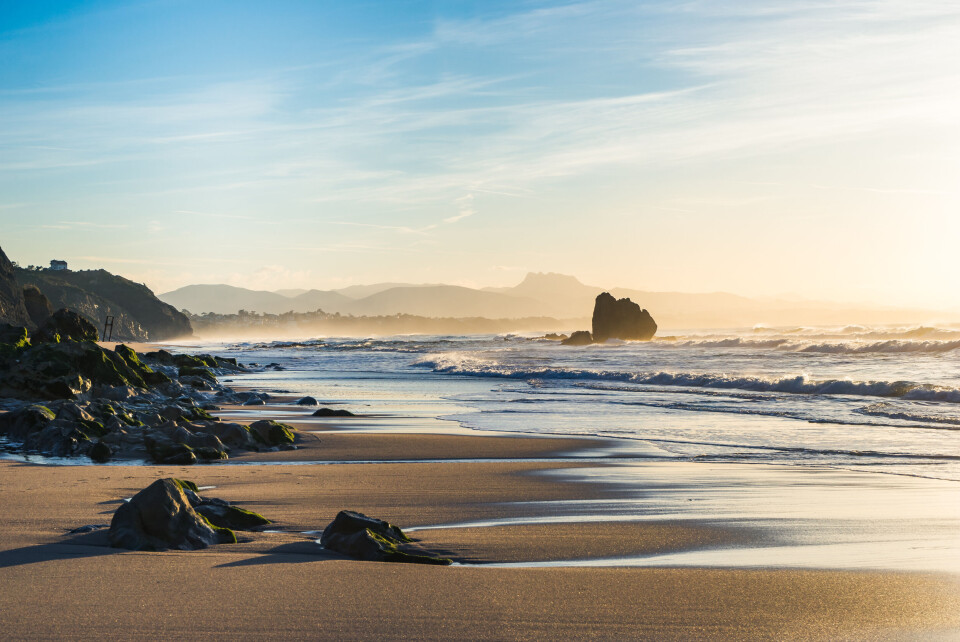 Nel727 / Shutterstock