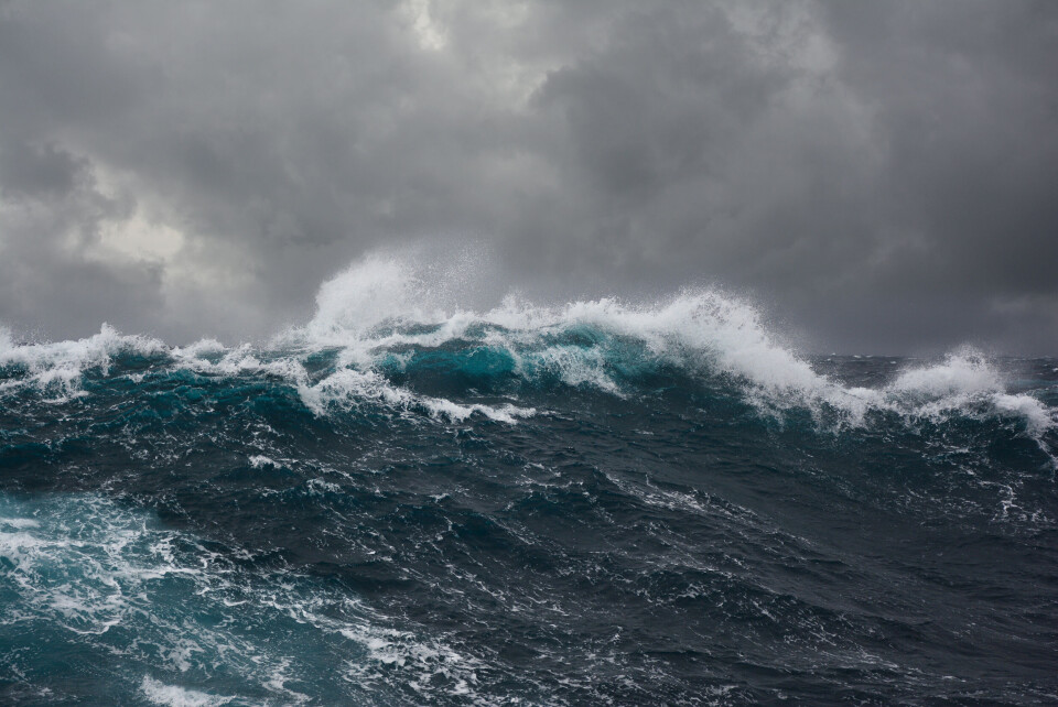 andrejs polivanovs / Shutterstock