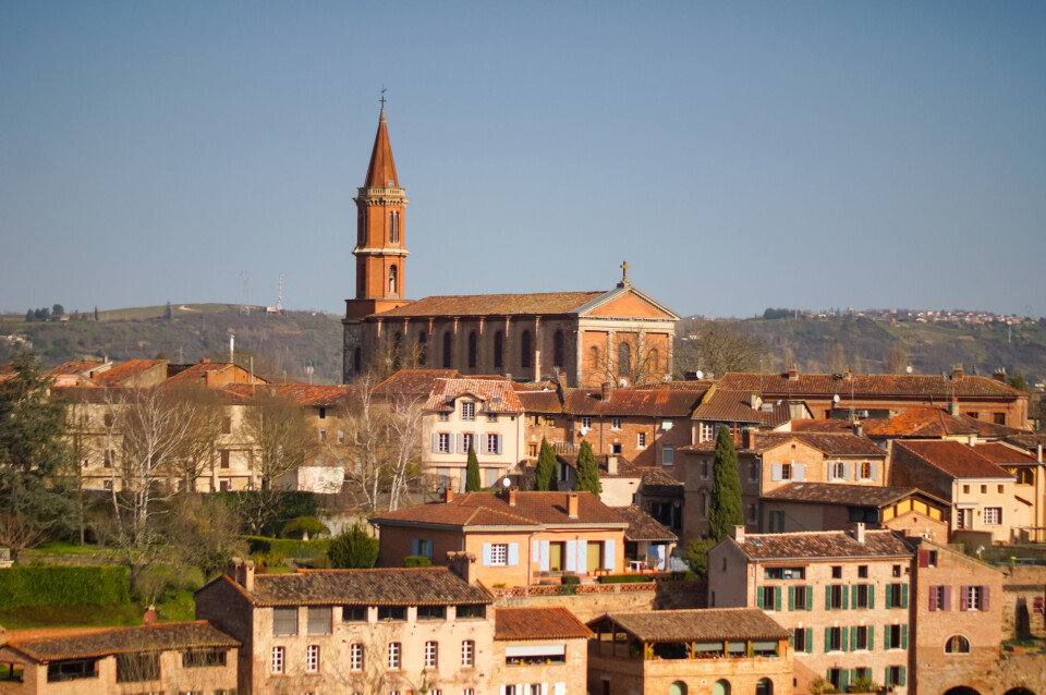 Spech / Shutterstock