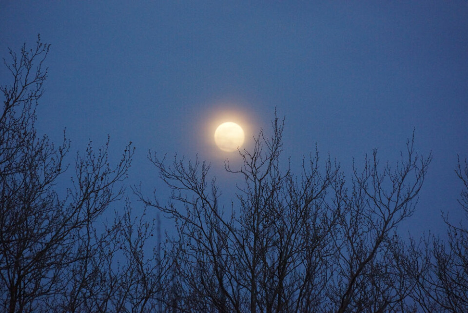 Karine P / Shutterstock A view of a supermoon in the sky in France