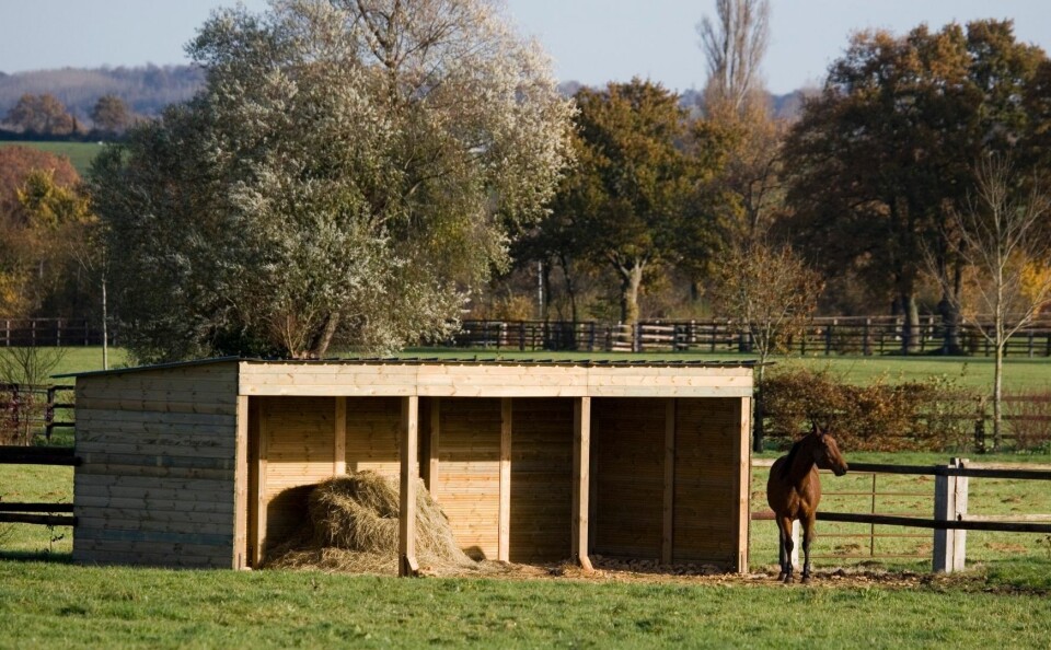 Horse shelter