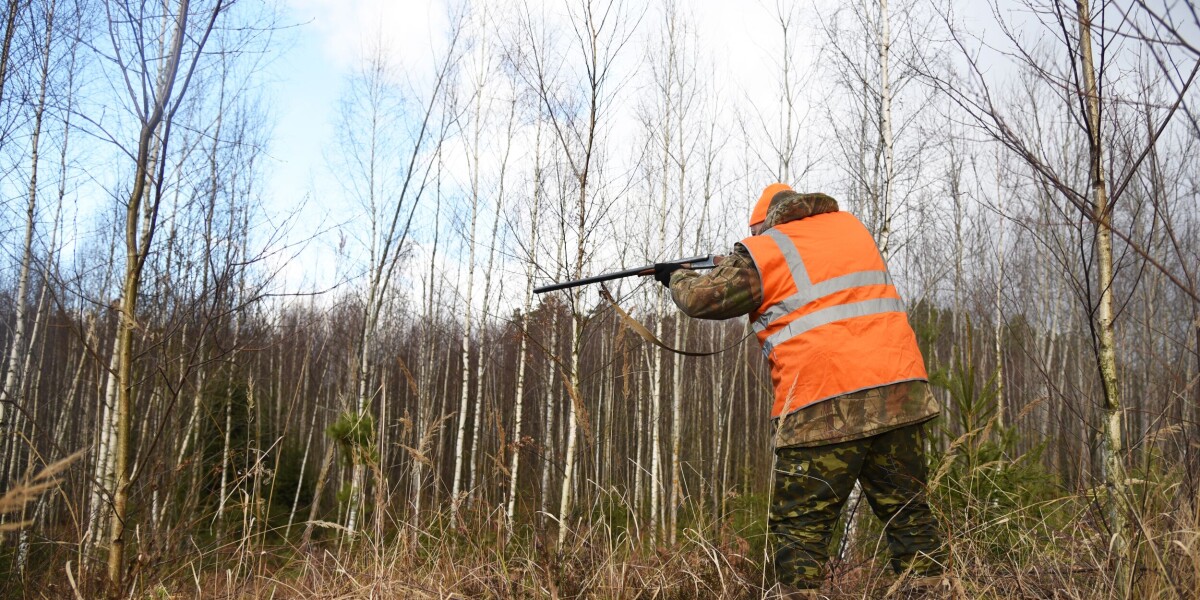 Hunter’s shot smashes car window passing close to driver in normandy