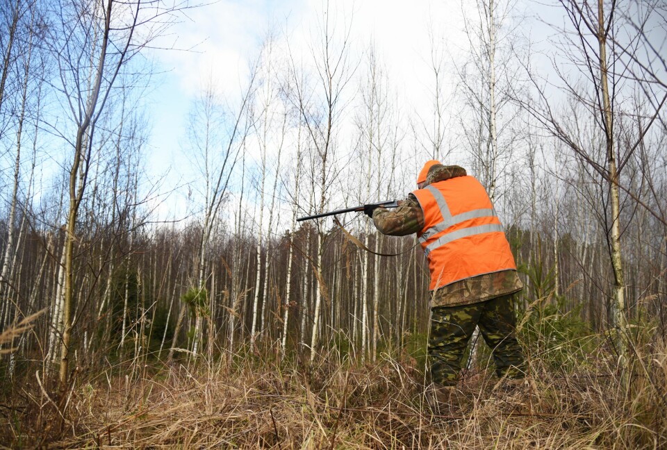 A photo of a hunter crouching in grass with a hunting rifle