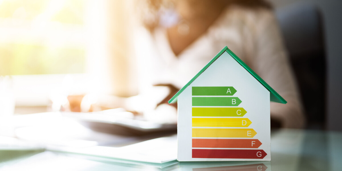 Make sense of new energy audits for property in france