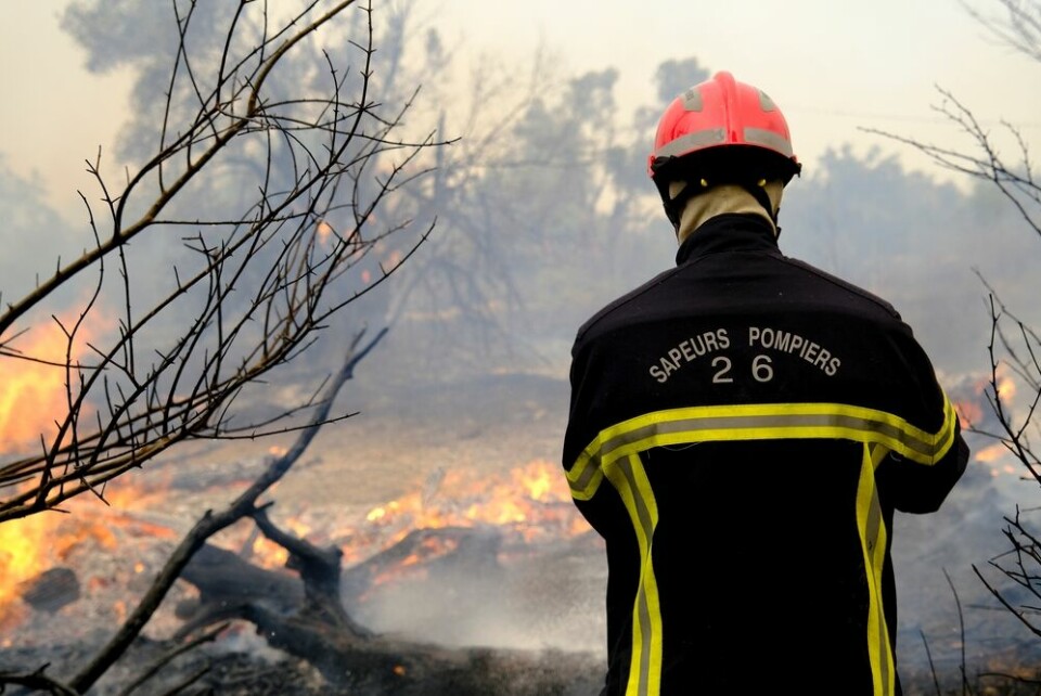 Forest fire risk in France: ‘Difficult’ summer predicted ahead