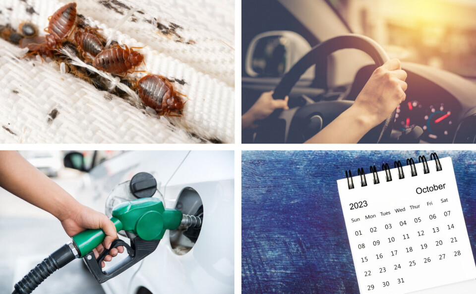 bunyarit / Pushish Images / Georgy Dzyura / PENpics Studio | Shutterstock