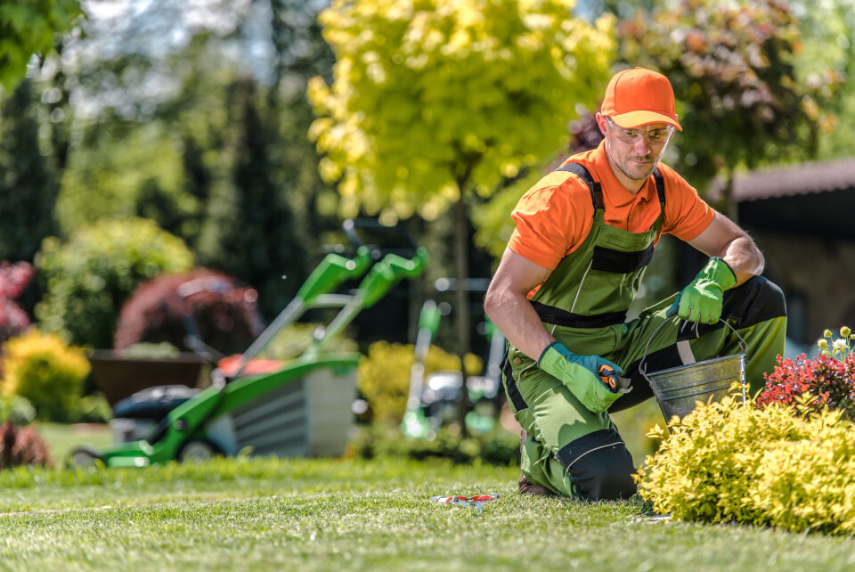 Professional gardening service