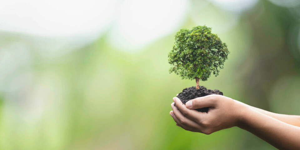 A view of hands holding a tree in some soil to show caring for the environment