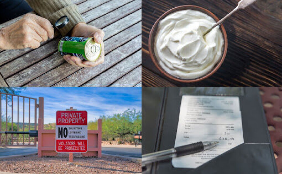 Alexander Prokopenko / Jason Finn / Trong Nguyen / lara-sh / Shutterstock