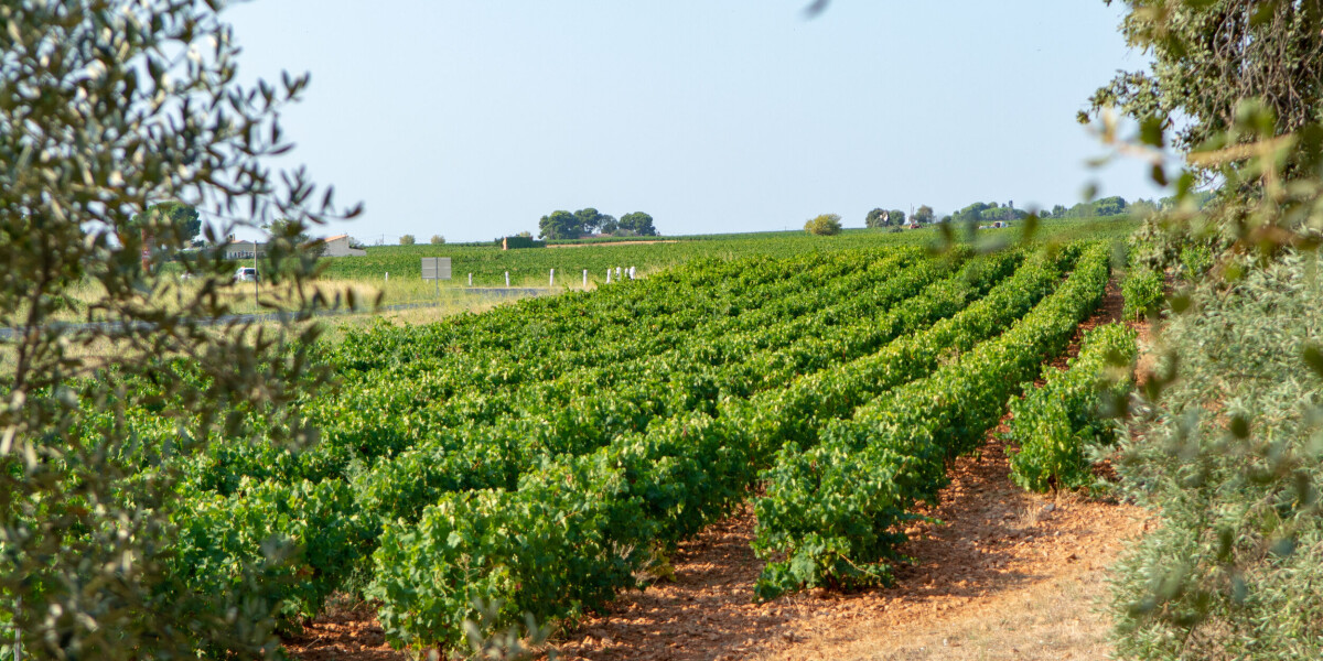 The temperature is rising in france’s hottest village