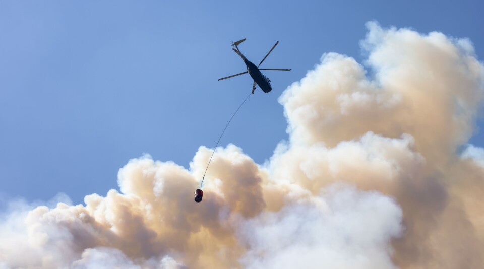 EB Adventure Photography / Shutterstock