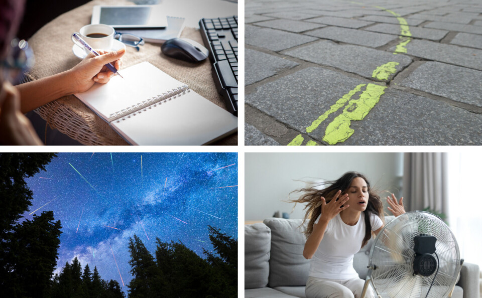 stockphoto mania / Tony Skerl / Belish / fizkes / Shutterstock