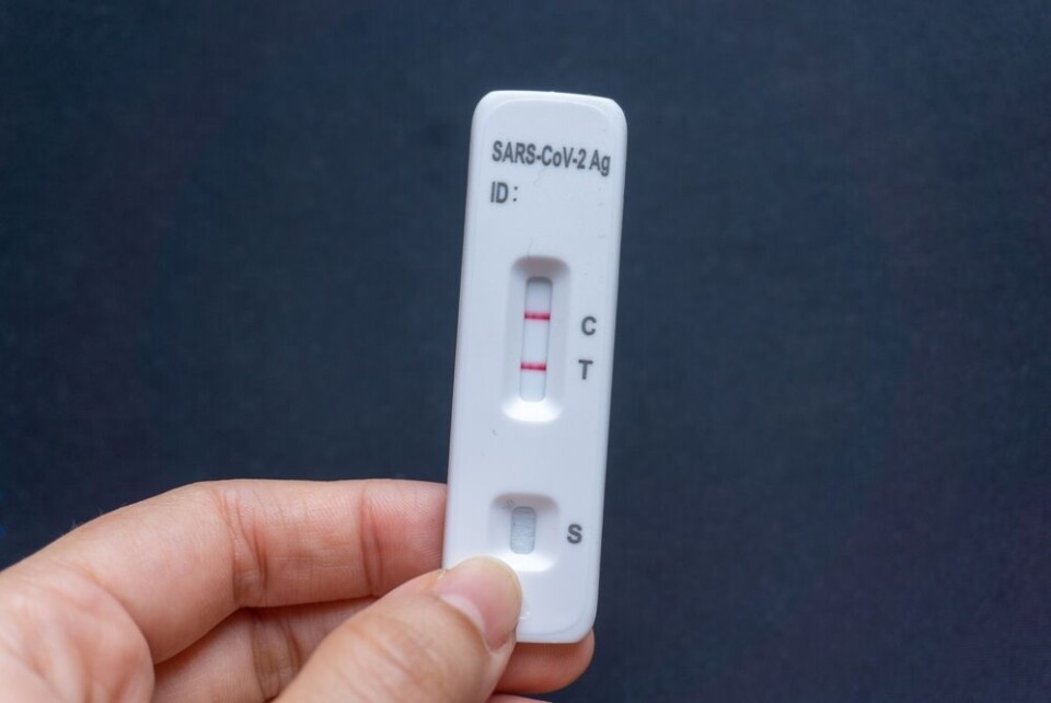 Someone holding a positive Covid lateral flow test in their hand