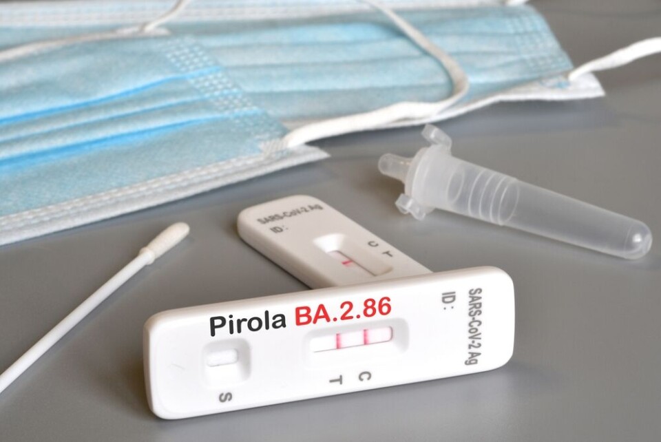 A view of a lateral flow Covid test labelled with Pirola BA.2.86