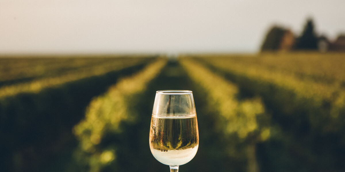 The wine industry is in constant evolution in france and beyond