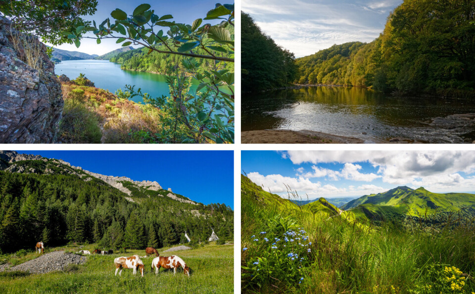 Philippe jourdren / Alain PITAULT / Yannick EYRAUD / Laurent Renault / Shutterstock A split photo of Lozère, Creuse, Hautes-Alpes, and Cantal