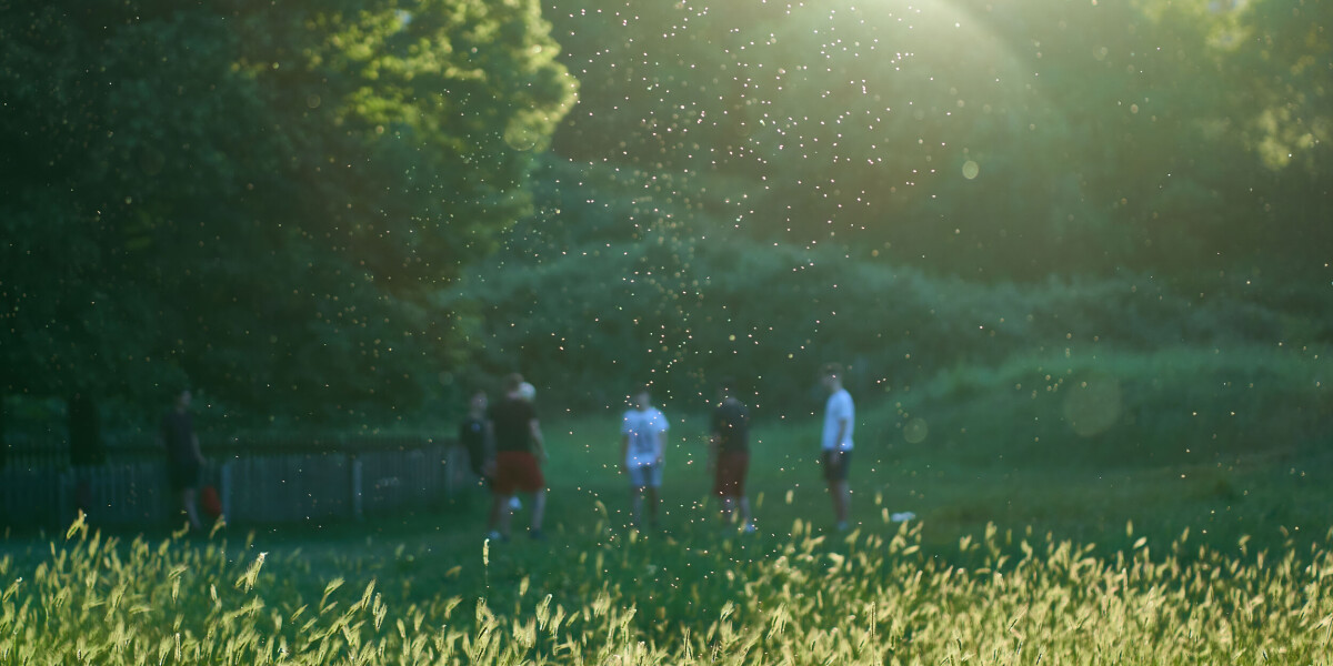 Most of france on ‘red allergy alert’ for grass and other pollens