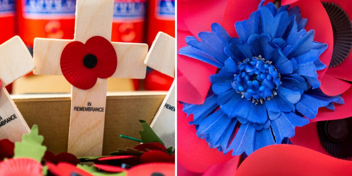 How to buy a 2024 remembrance poppy in france