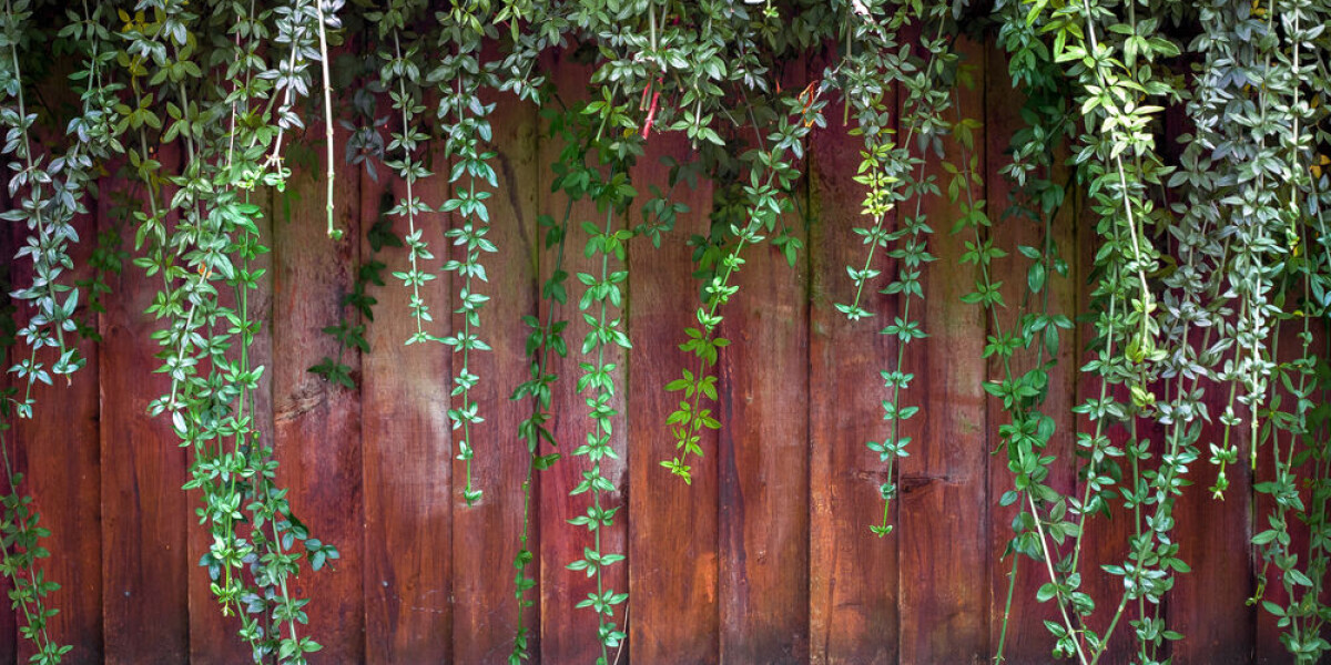 Who must cut overhanging branches in french garden?