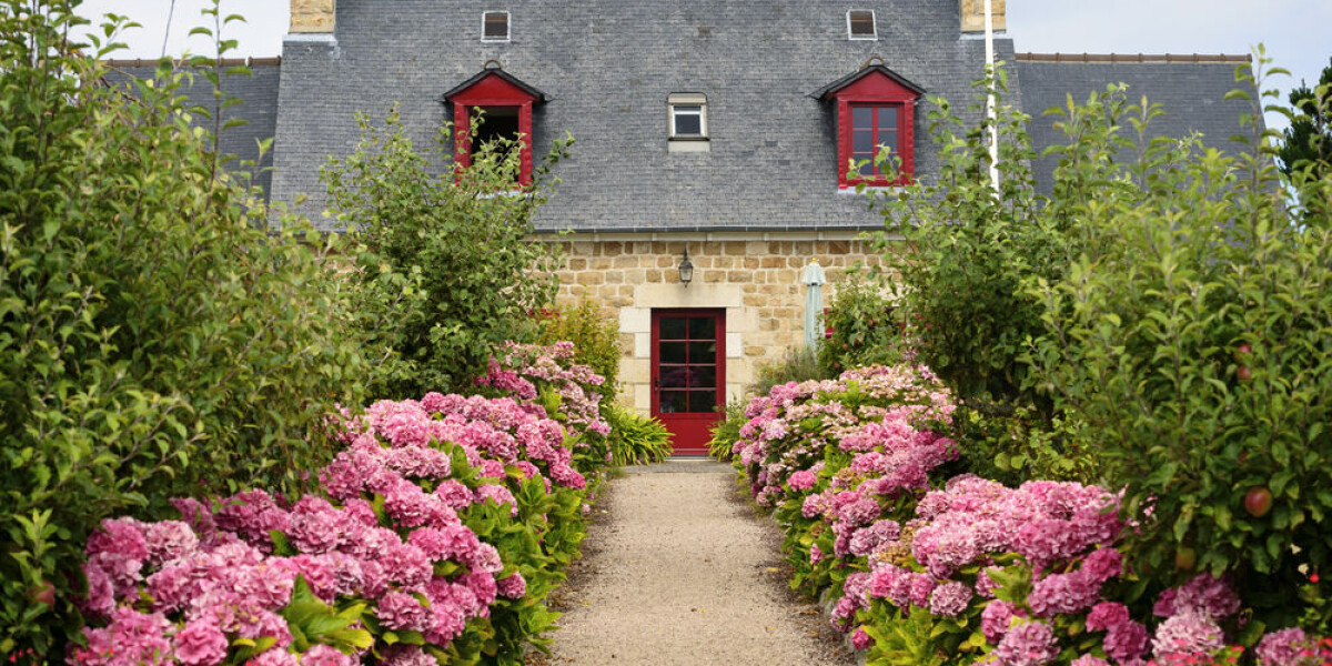 Obligatory property declaration in france: paper forms now available