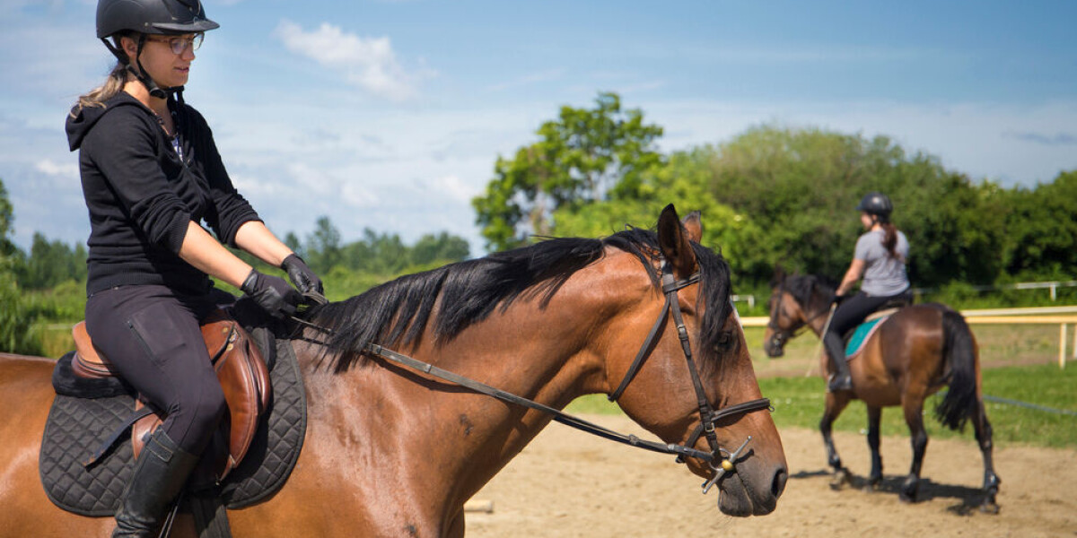 Boost for horse and pony clubs in france