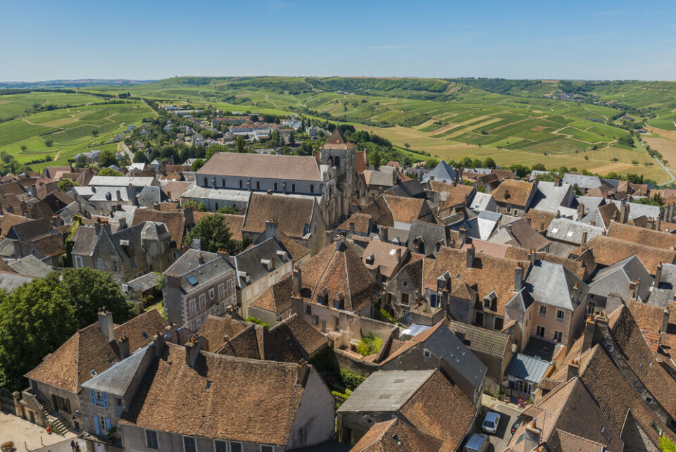 Daan Kloeg / Shutterstock