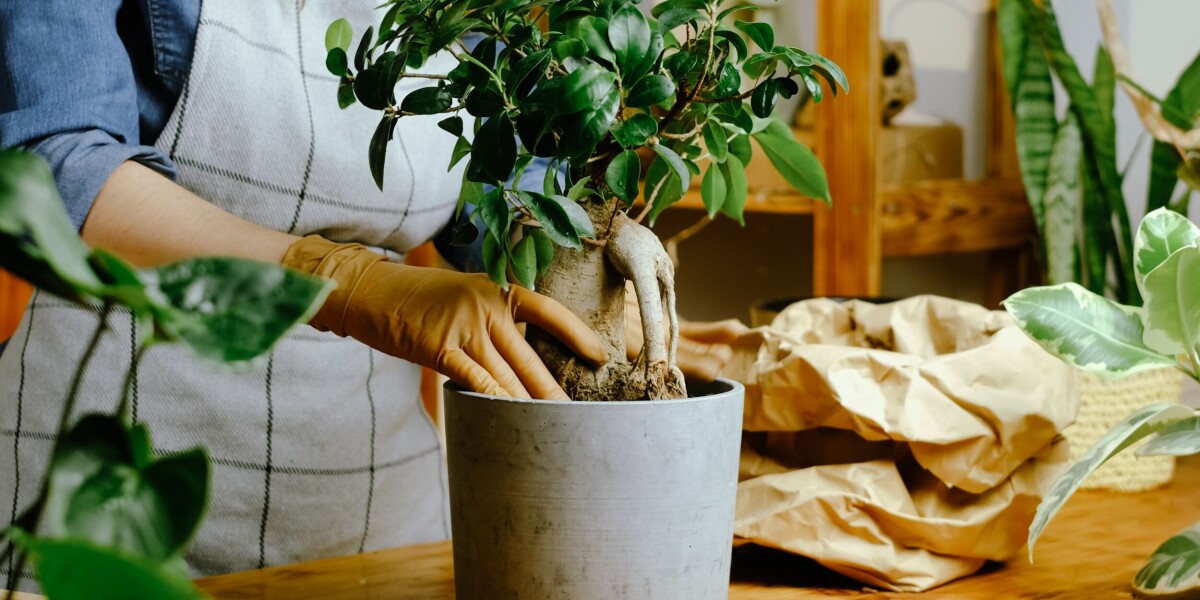 feature-image