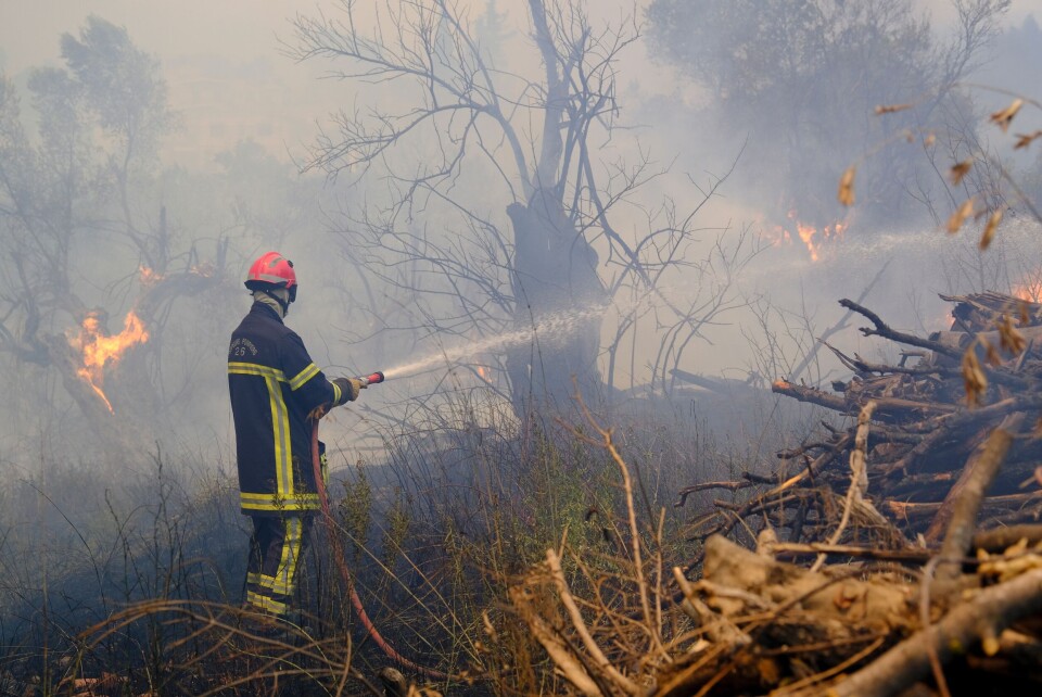 A photo of a firefighter spraying water on a wild forest fire