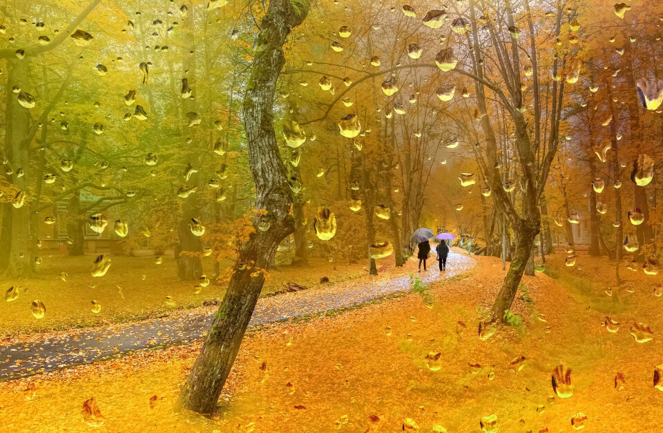 An image of raindrops trickling down a window looking out on autumn leaves