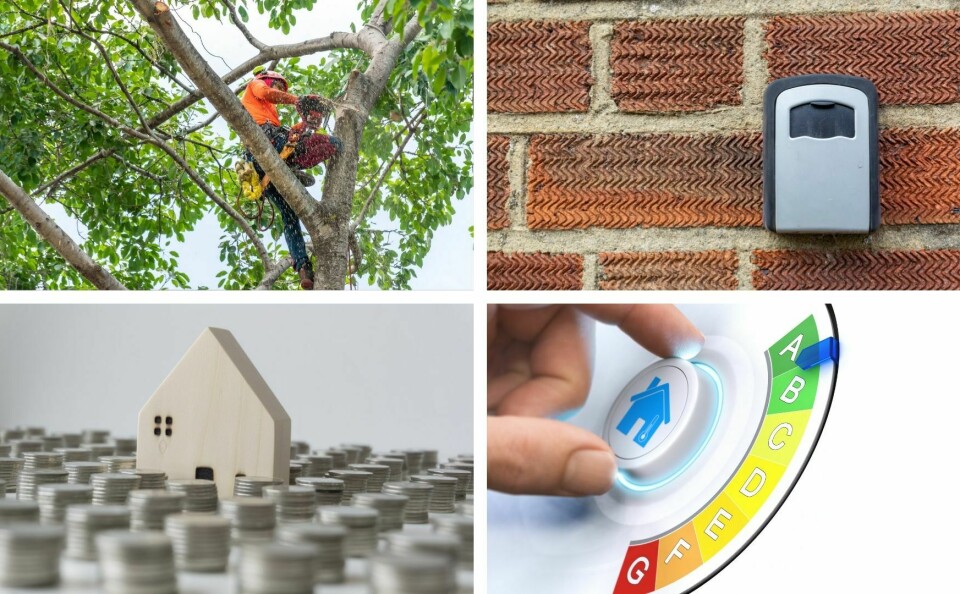 An image grid showing a person pruning a tree, a key safe, piles of coins surrounding a house and French energy ratings