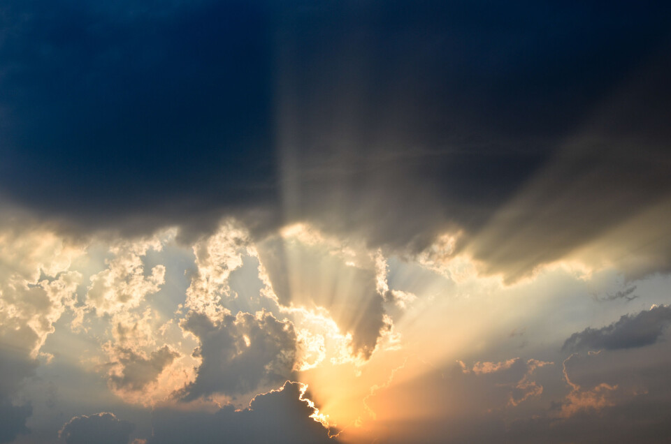 Alessandro Caroli / Shutterstock