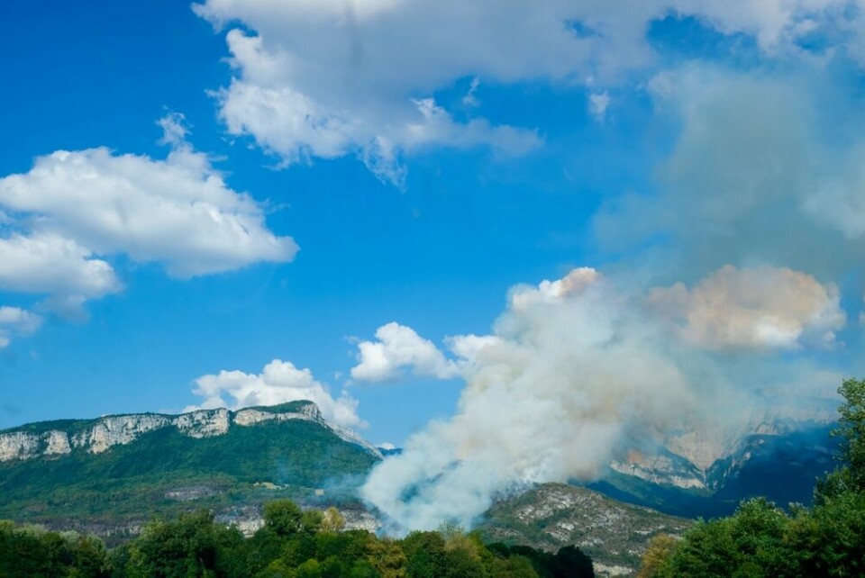 Forest fires in France: Cameras to be used more to prevent blazes