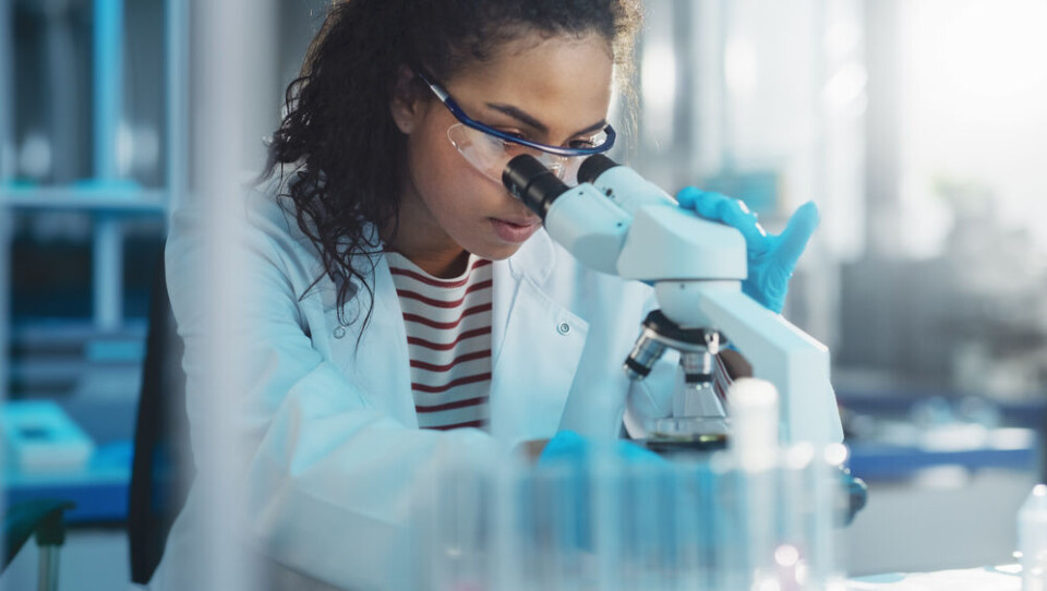 A young researcher looking through a microscope