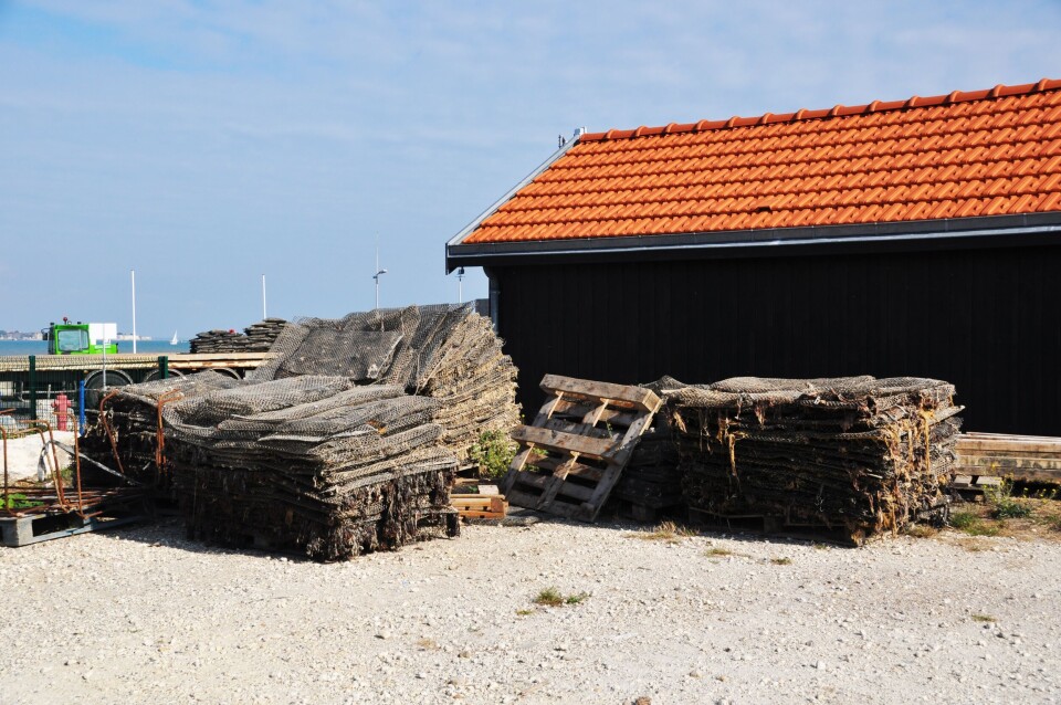 SlavaSolo / Shutterstock Barn with new roof
